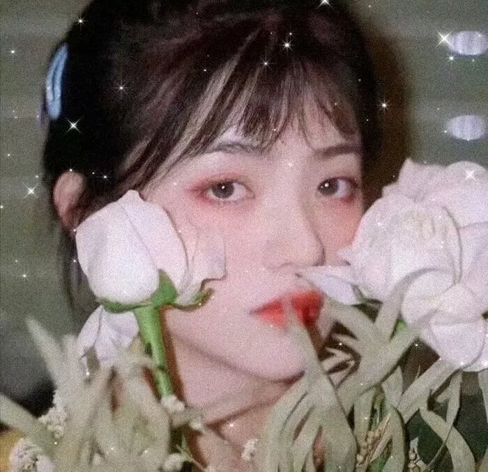 派对女郎
